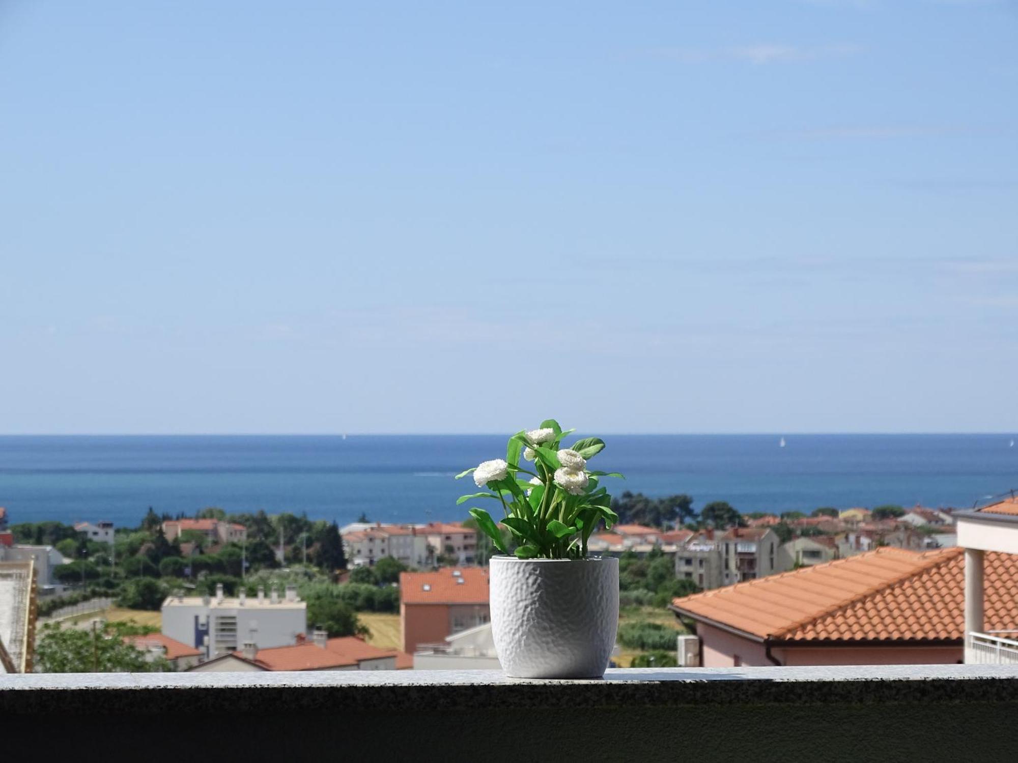 Apartment Bellavista Novigrad (Istria)